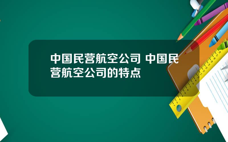 中国民营航空公司 中国民营航空公司的特点